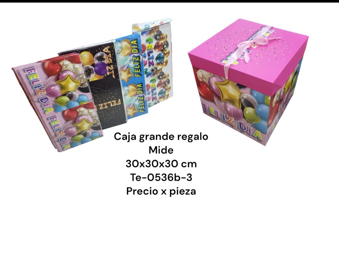 Caja De Regalo Grande Te-0536b-3