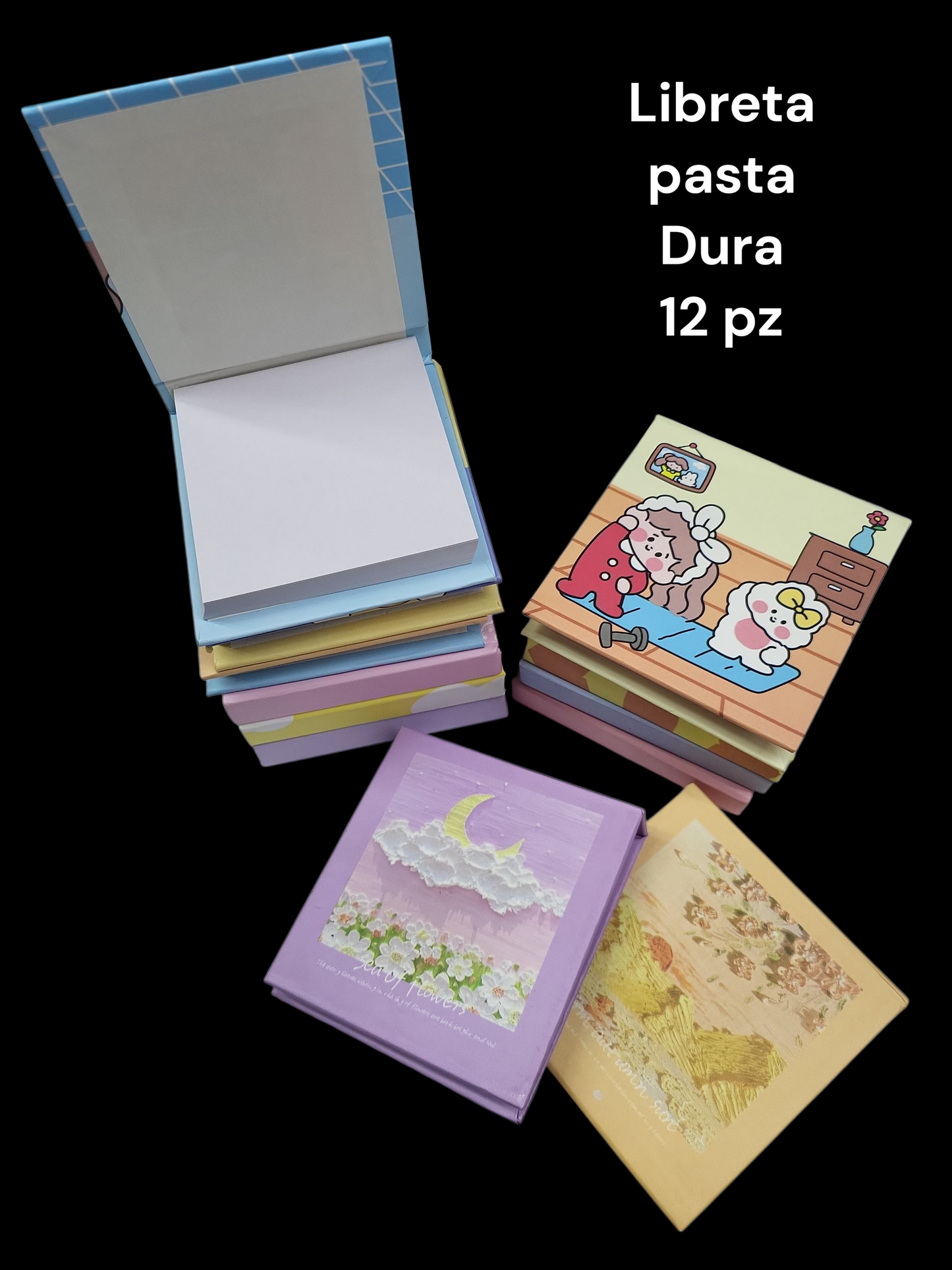 Libreta pasta dura uB-2004B