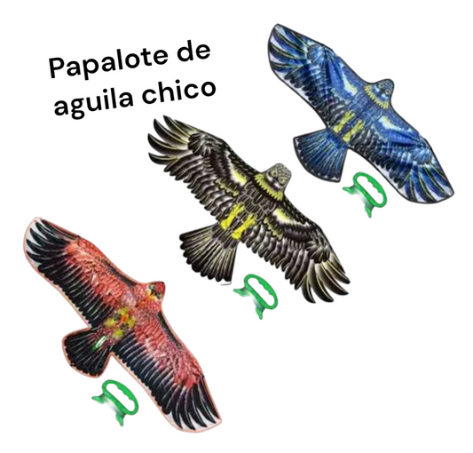 Papalote aguila chica