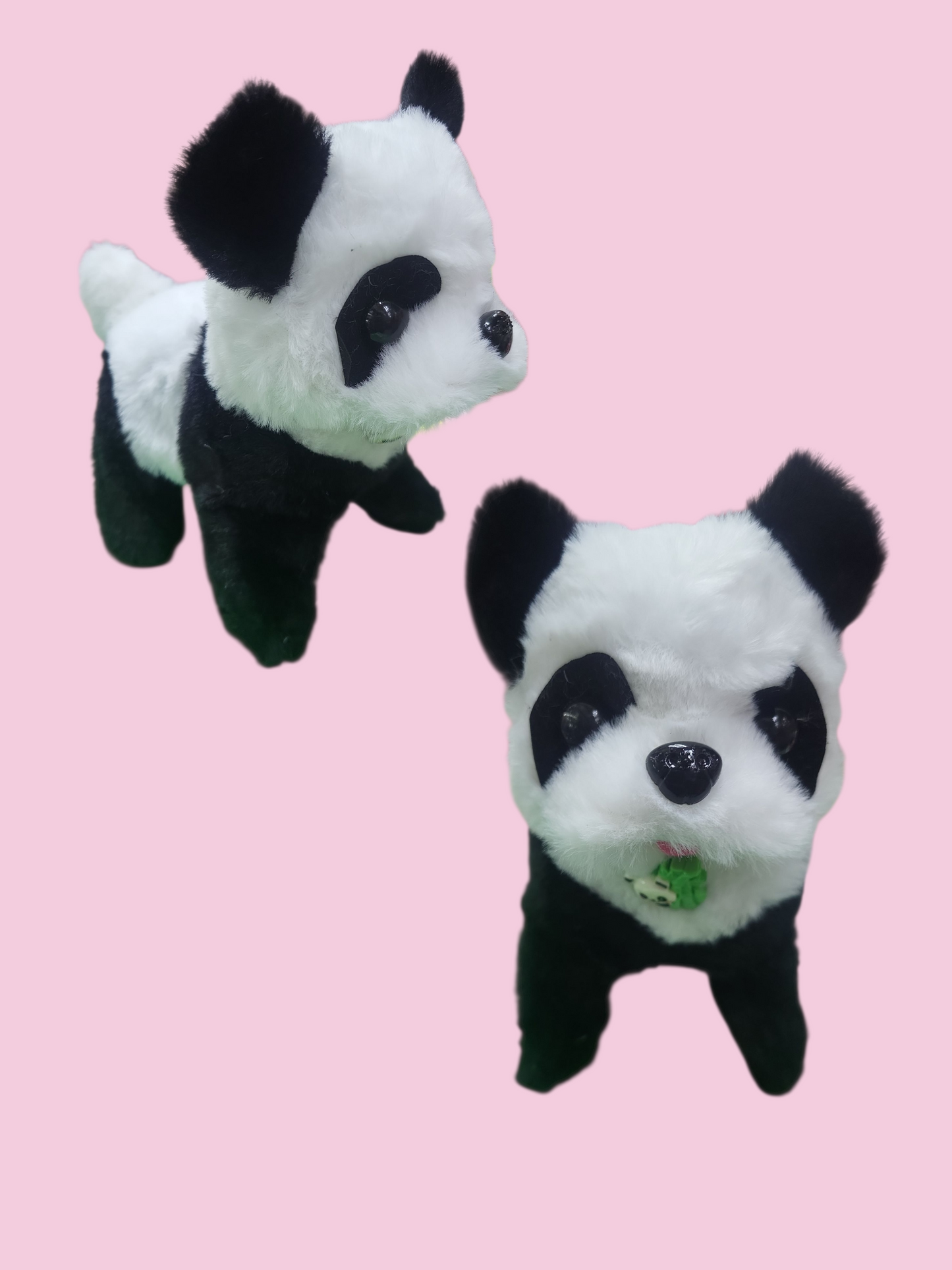 Conejo Panda