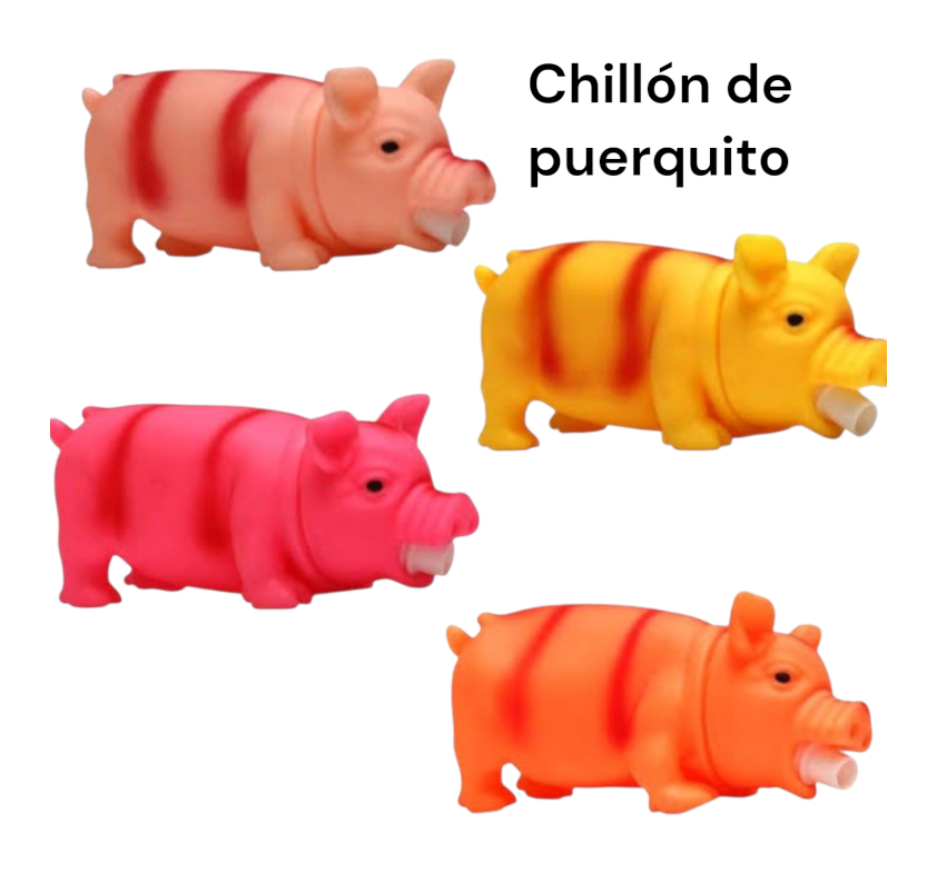 chillon puerco grande